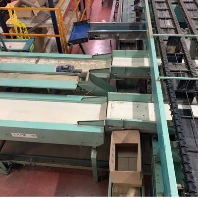 SAMMO 4 LINES USED ELECTRONIC SORTING LINE Image 12