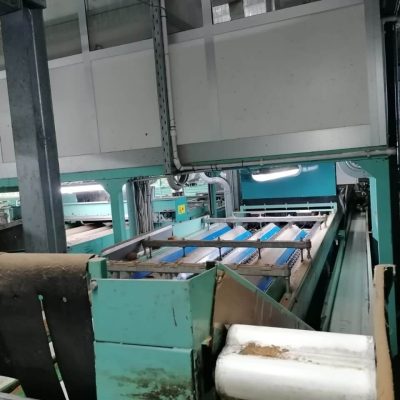 SAMMO 8 LINES KIWI SORTING LINE Image2