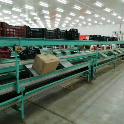 SAMMO 8 LINES KIWI SORTING LINE Image5