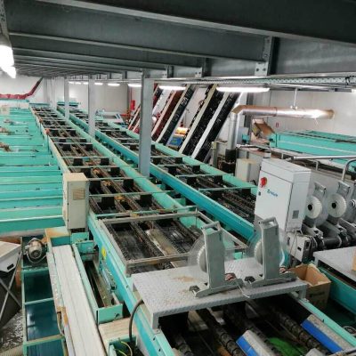 SAMMO 8 LINES KIWI SORTING LINE Image7