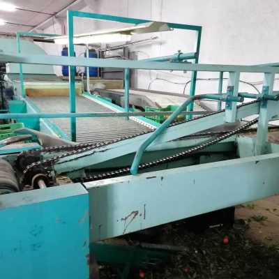 SAMMO FOUR LINES CITRUS SORTING LINE Image1