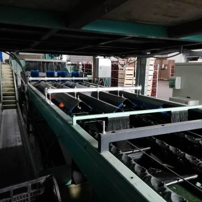 SAMMO FOUR LINES CITRUS SORTING LINE Image3