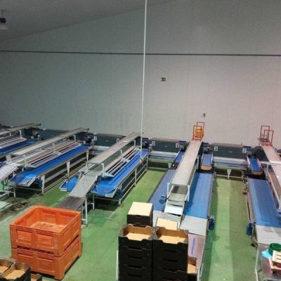 SER.MAC TWO LINES KIWI SORTING LINE Image1