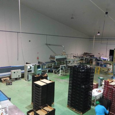 SER.MAC TWO LINES KIWI SORTING LINE Image8