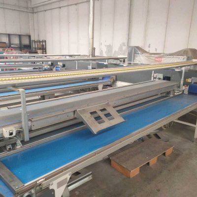 SERMAC TWO LINES APPLE GRADING LINE Image 6