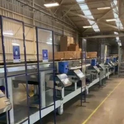 Screenshot 2024-11-19 12.59.38