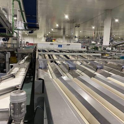 TECNOFRUTA LEVANTE 6 LINES GRADING LINE Image3