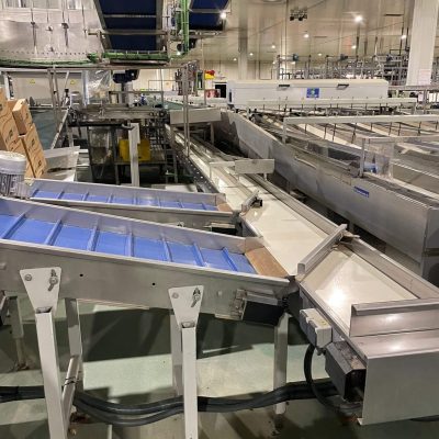 TECNOFRUTA LEVANTE 6 LINES GRADING LINE Image6