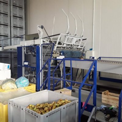 UNITEC 2 LINES MANGO GRADING LINE Image 2