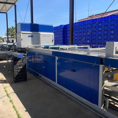 UNITEC 4 LINES APPLE PEACH LINE Image 1