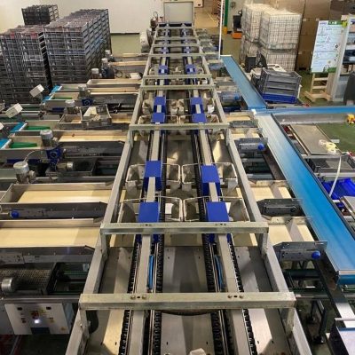 UNITEC FOUR LINES CHERRY SORTING LINE1