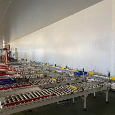 UNITEC FOUR LINES CHERRY SORTING LINE5