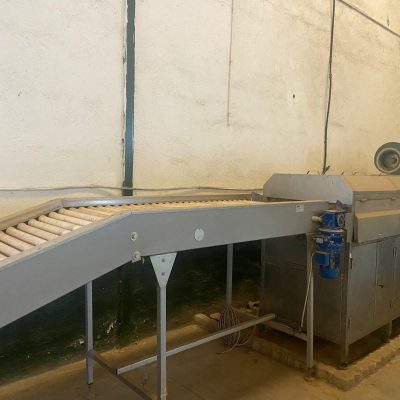 UNITEC ONE LINE PEACH KIWI SORTING LINE Image 2