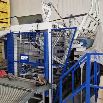 UNITEC TWO LINES MANGO SORTING LINE Image1