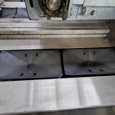 UNITEC TWO LINES MANGO SORTING LINE Image2