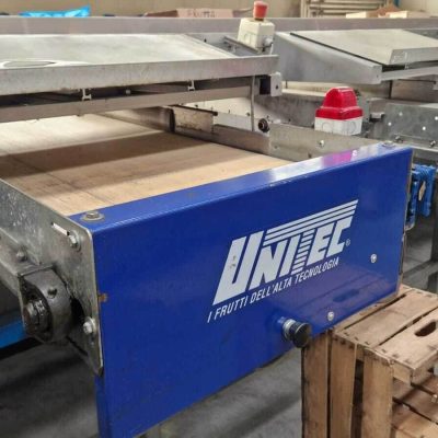 UNITEC TWO LINES MANGO SORTING LINE Image6