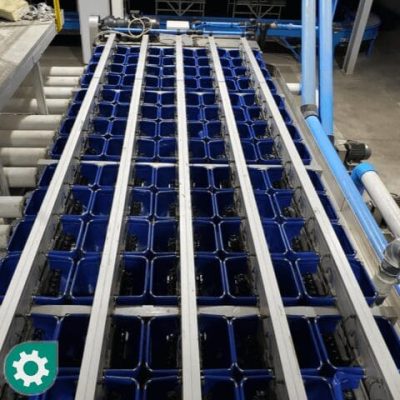 USED GP GRADER 10 LINES CHERRY GRADING LINE-12