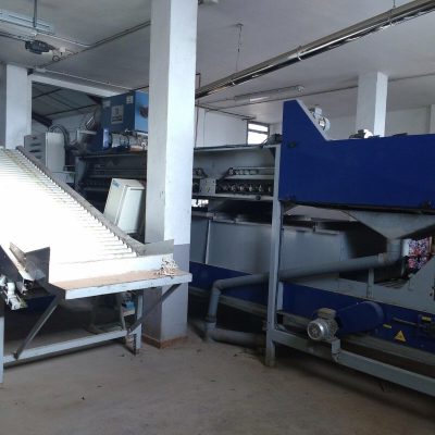 USED MAF RODA MECHANICAL GRADING LINE CITRUS Image 4