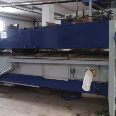 USED MAF RODA MECHANICAL GRADING LINE CITRUS Image 5