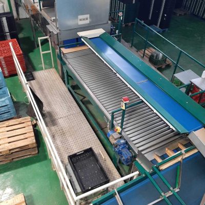 USED MAF RODA POMONE 6 LINES TOMATO Image2