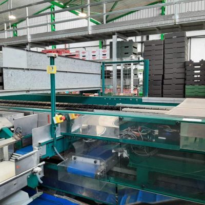 USED MAF RODA POMONE 6 LINES TOMATO Image3