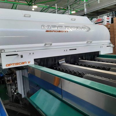 USED MAF RODA POMONE 6 LINES TOMATO Image4