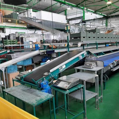 USED MAF RODA POMONE 6 LINES TOMATO Image5