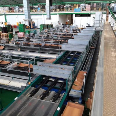 USED MAF RODA POMONE 6 LINES TOMATO Image6