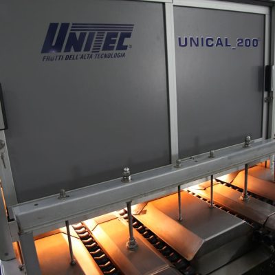 WhatsApp Image 2020-09-03 at 09.54.59 (1)