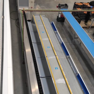 WhatsApp Image 2021-02-10 at 19.06.44 (1)