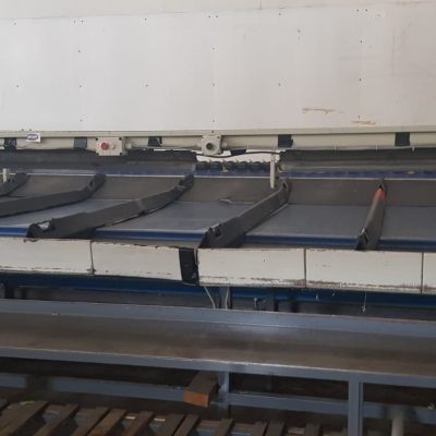 WhatsApp Image 2021-08-09 at 12.48.56 (3)