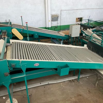 WhatsApp Image 2023-01-12 at 19.03.58