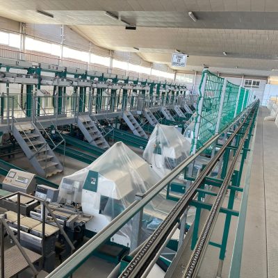 WhatsApp Image 2023-01-12 at 19.04.00 (1)