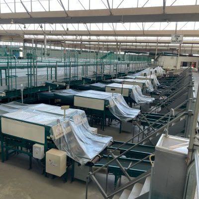 WhatsApp Image 2023-01-12 at 19.04.00 (2)