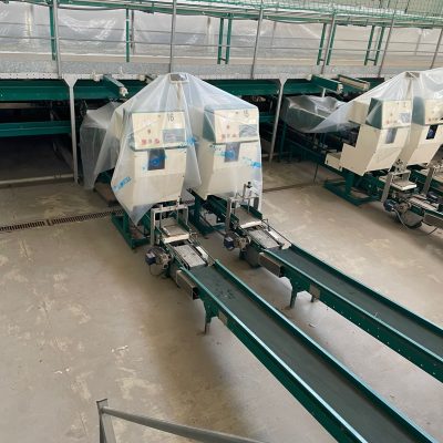 WhatsApp Image 2023-01-12 at 19.04.05