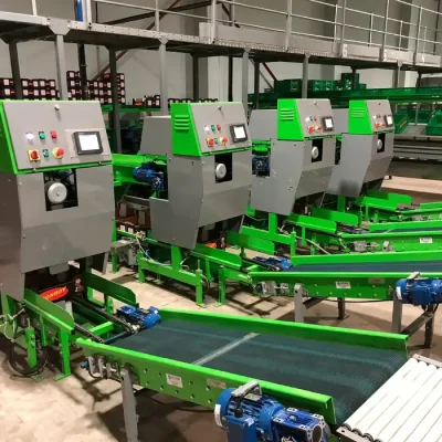 WhatsApp-Image-2023-03-03-at-17.08.36 (1) (1)