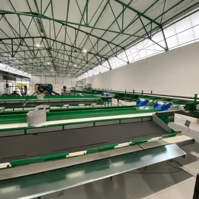 WhatsApp Image 2023-03-03 at 17.08.3611