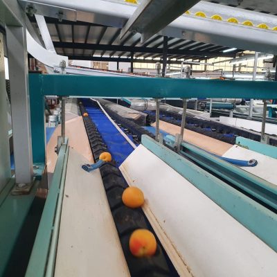 WhatsApp Image 2023-05-22 at 13.16.55 (1)