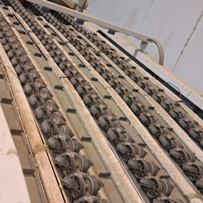 WhatsApp Image 2024-11-10 at 14.21.47 (2)