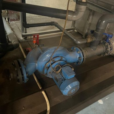 WhatsApp Image 2024-11-11 at 13.02.23 (1)