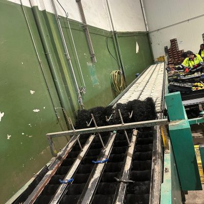 WhatsApp Image 2024-11-11 at 13.02.31