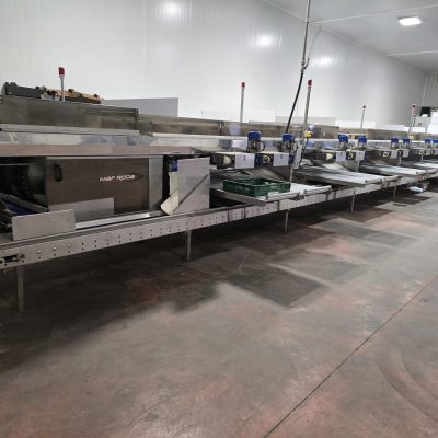 WhatsApp Image 2024-11-15 at 22.56.56 (5)