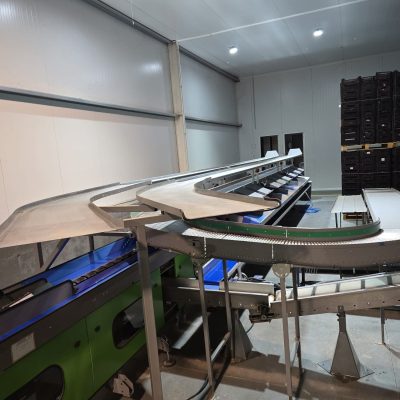 WhatsApp Image 2024-11-16 at 11.18.24 (1)