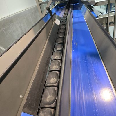 WhatsApp Image 2024-11-16 at 11.18.24 (2)