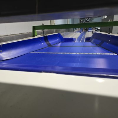 WhatsApp Image 2024-11-16 at 11.18.24 (4)