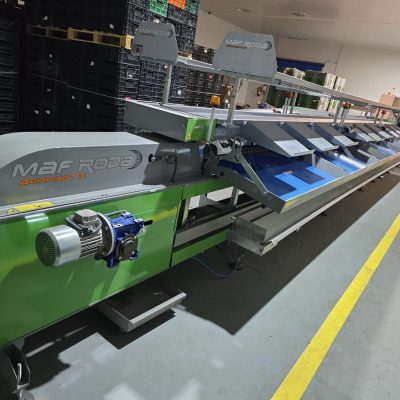 WhatsApp Image 2024-11-16 at 11.18.24 (6)