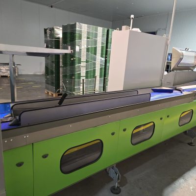 WhatsApp Image 2024-11-16 at 11.18.25 (1)