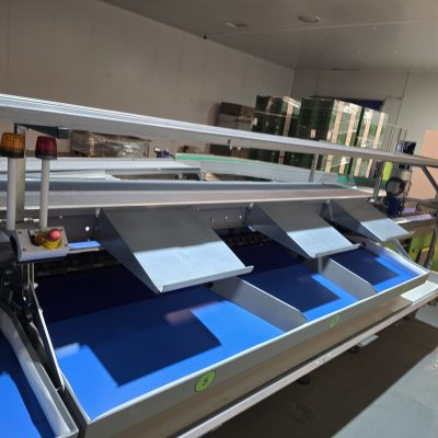 WhatsApp Image 2024-11-16 at 11.18.25