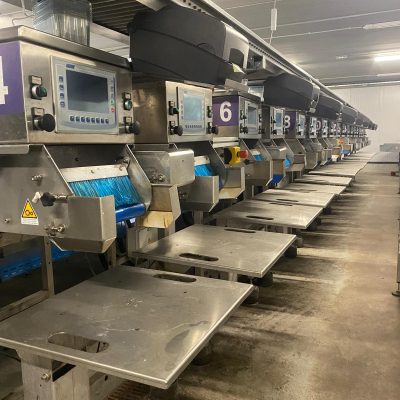 WhatsApp Image 2024-11-18 at 17.21.42 (2)