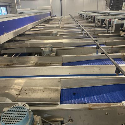 WhatsApp Image 2024-11-18 at 17.21.43